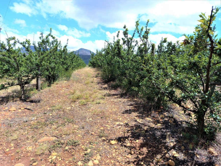 0 Bedroom Property for Sale in Uniondale Rural Western Cape